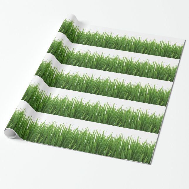 Grön gräsbakgrund presentpapper (Utrullad)