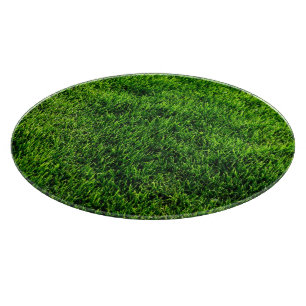 Grön grässtruktur från ett fotbollfält