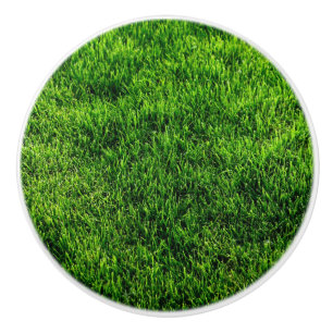 Grön grässtruktur från ett fotbollfält knopp