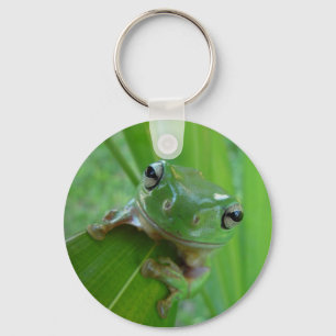 grön grodakeychain nyckelring