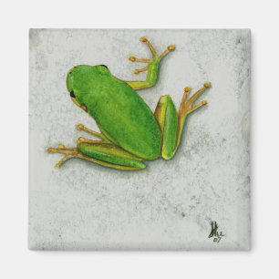 Grön grodamagnet magnet