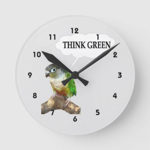 Grön grönt för kindConure tänka Rund Klocka