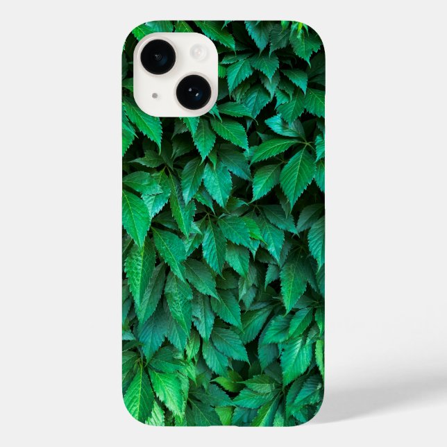 grön häck bakgrund parthenocissus mönster text (Baksida)