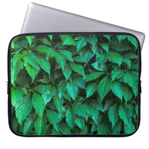 grön häck bakgrund parthenocissus mönster text laptop fodral