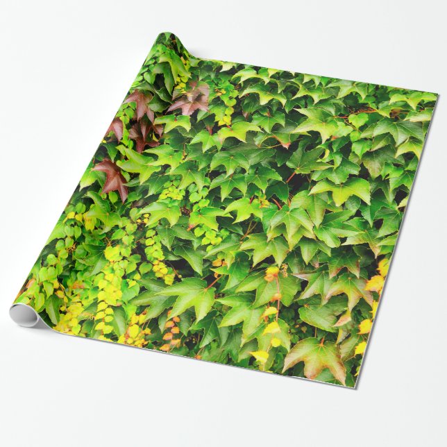 Grön häckväxt presentpapper (Utrullad)