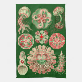 Grön Haeckel marin- manetillustration som är röd & Kökshandduk