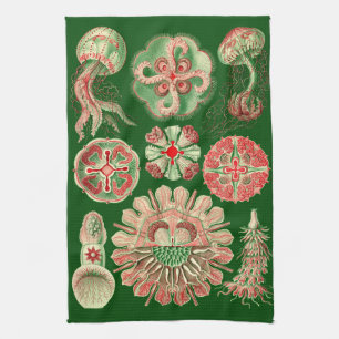 Grön Haeckel marin- manetillustration som är röd & Kökshandduk