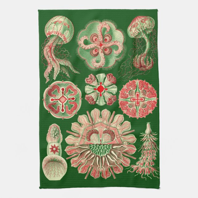 Grön Haeckel marin- manetillustration som är röd & Kökshandduk (Vertikal)