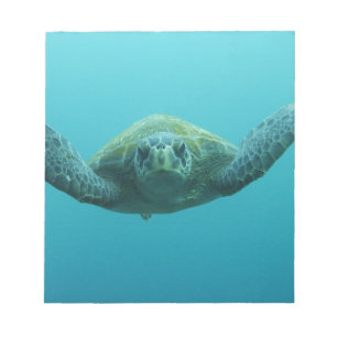 Grön havssköldpadda (Chelonia mydas agassisi), Cen Anteckningsblock