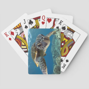 Grön havssköldpadda för hawaiibo casinokort