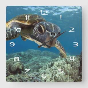 Grön havssköldpadda för hawaiibo fyrkantig klocka