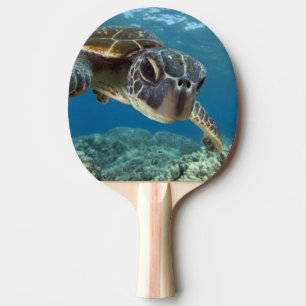 Grön havssköldpadda för hawaiibo pingisracket