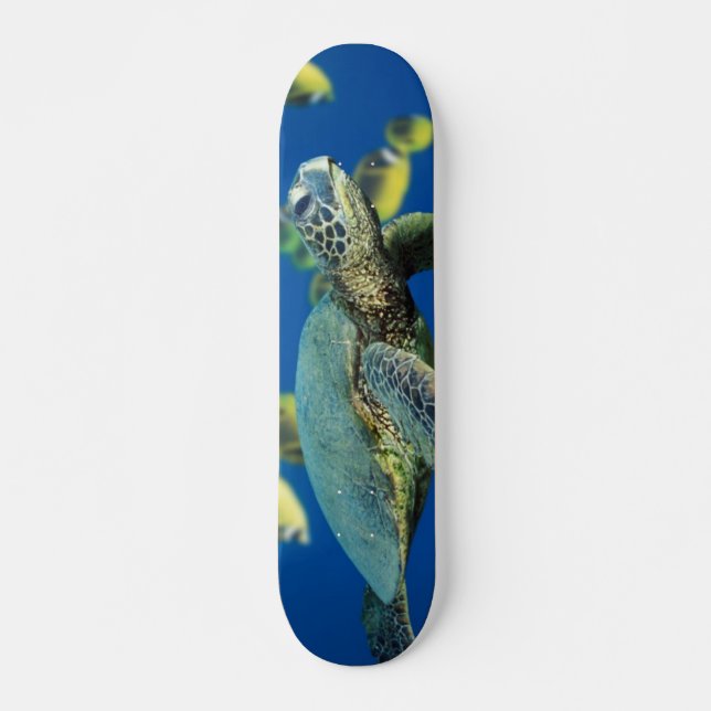 Grön havssköldpadda skateboard bräda 21,5 cm (Framsida)