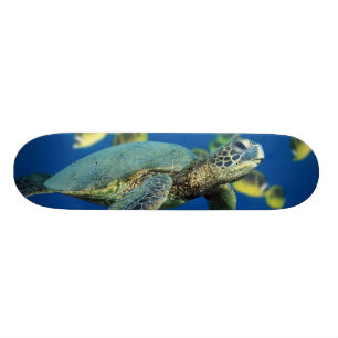 Grön havssköldpadda skateboard bräda 21,5 cm