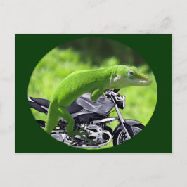 Grön hawaiiansk gecko-ryttare vykort
