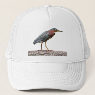 Grön Heron Keps