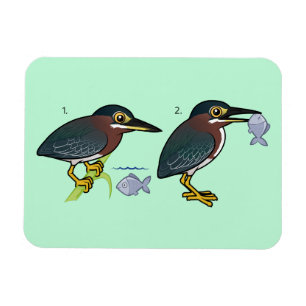 Grön Heronjaktteknik Magnet