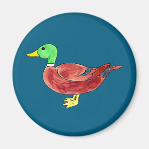 Grön huvudand Mållardand i akvarell Magnet