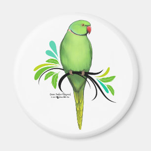 Grön indisk Ringneck papegoja Magnet