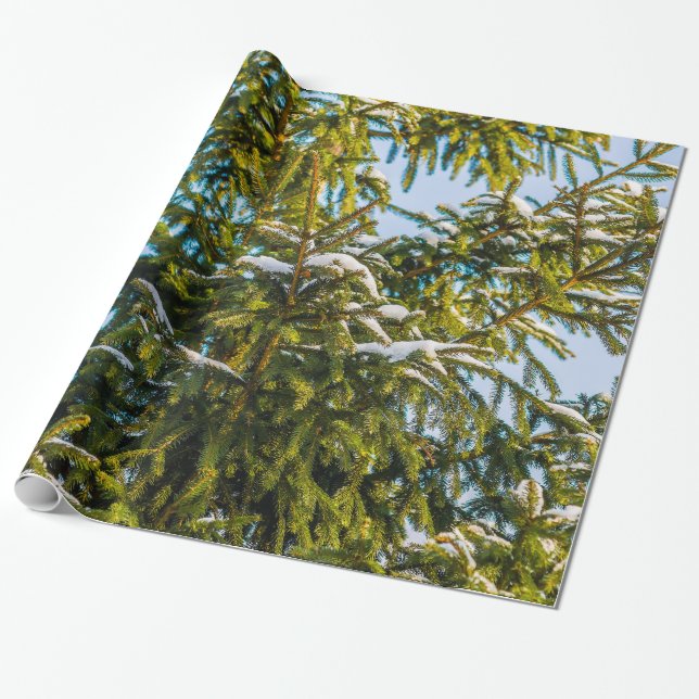 Grön julgran i snö presentpapper (Utrullad)