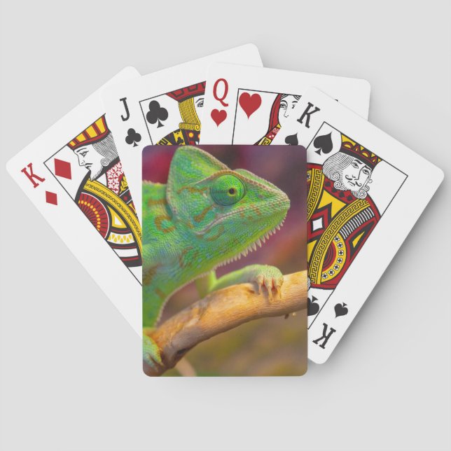 Grön Kameleont Casinokort (Baksidan)
