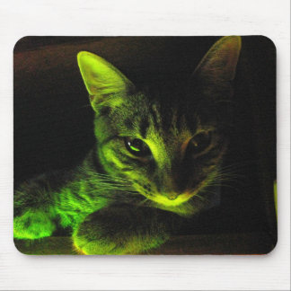 Grön katt Mousepad Musmatta