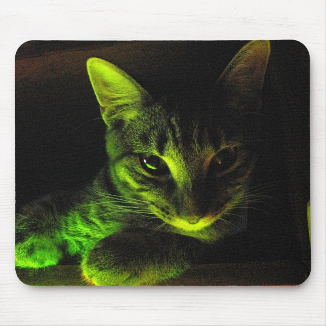 Grön katt Mousepad Musmatta (Framsidan)