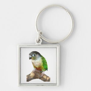 Grön kind Conure Fyrkantig Silverfärgad Nyckelring