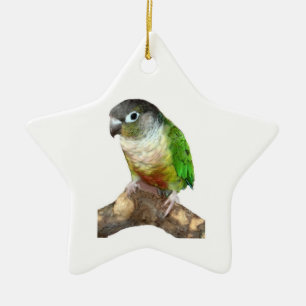 Grön kind Conure Julgransprydnad Keramik