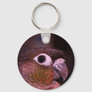 Grön kind Conure Nyckelring