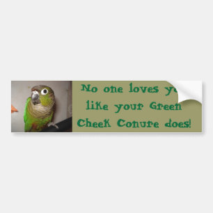 Grön kindConure kärlek Bildekal