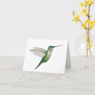 Grön kolibri kort