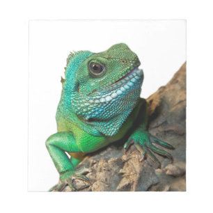 Grön leguan anteckningsblock