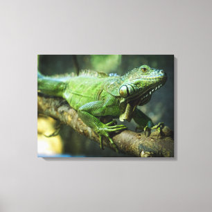 Grön leguan canvastryck