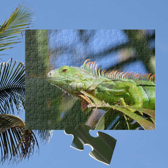 Grön leguan i ett palmeträd Fotografisk Pussel (Skapare uppladdad)
