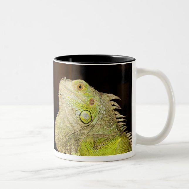 Grön leguan (leguanleguanen) Två-Tonad mugg (Höger)