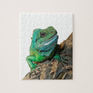 Grön leguan pussel