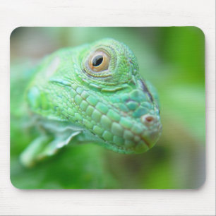 Grön leguanödlareptil på löv Mousepad Musmatta