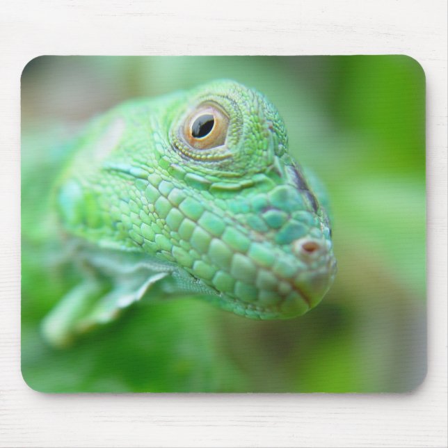Grön leguanödlareptil på löv Mousepad Musmatta (Framsidan)