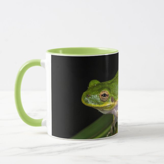 Grön lövgroda (Hyla cinerea) 2 Mugg (Vänster)