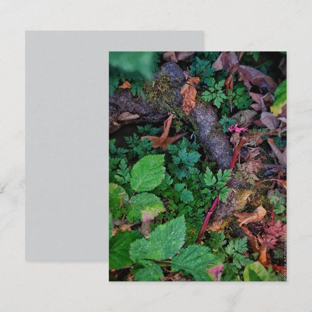 Grön lövverk inbjudningar (Fram/baksida)