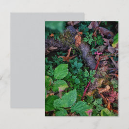 Grön lövverk inbjudningar