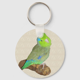 Grön male parrotlet nyckelring