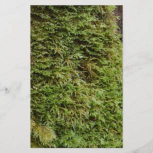 Grön Moss Brevpapper