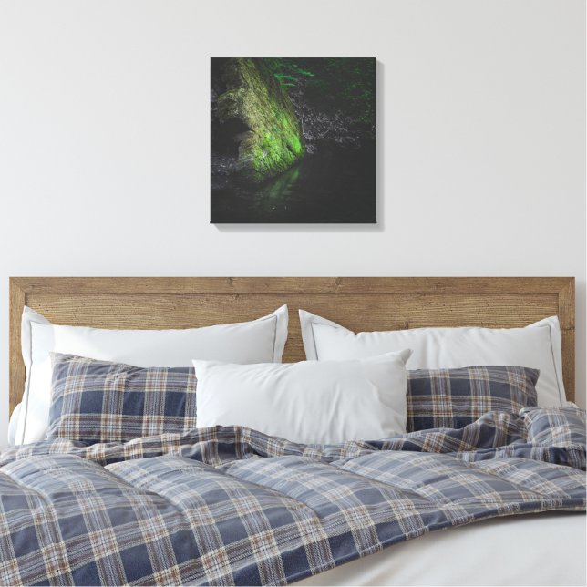 Grön mossig sten med spegling i vatten canvastryck (Insitu (sovrum))