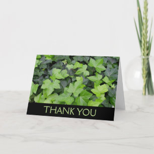 Grön Murgröna Botanisk Print Tack Kort