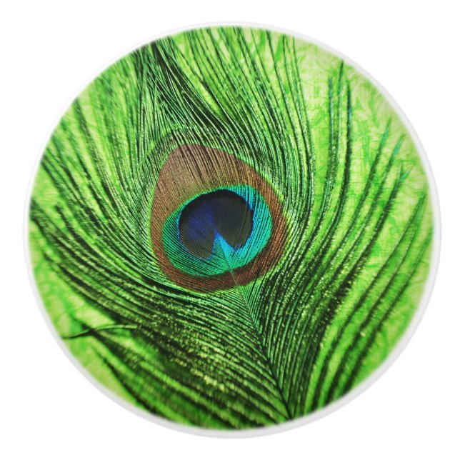 Grön påfågel för limefrukt knopp (Framsidan)