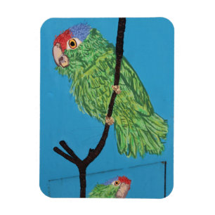 grön papegojafotomagnet magnet