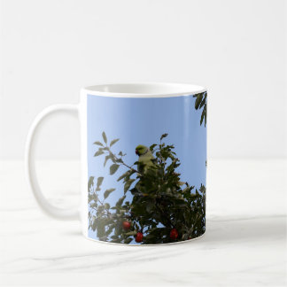 Grön parakit kaffemugg
