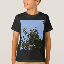 Grön parakit tee